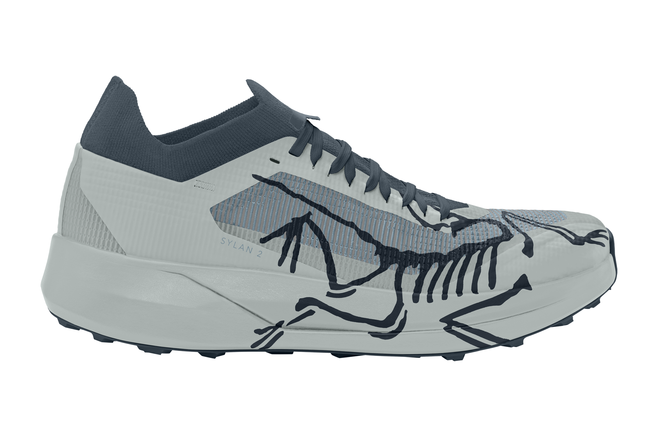 Sylan 2 Shoe (Men's) - X000010155