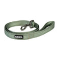 Lazy Bear Dog Leash