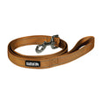 Lazy Bear Dog Leash