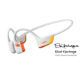 OpenRun Pro 2 Headphones