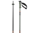 Polar Pro S3 Ski Poles