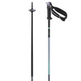 Polar Pro S3 Ski Poles