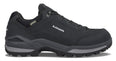 Renegade GTX LO (Men's) - 310963 - Past Season