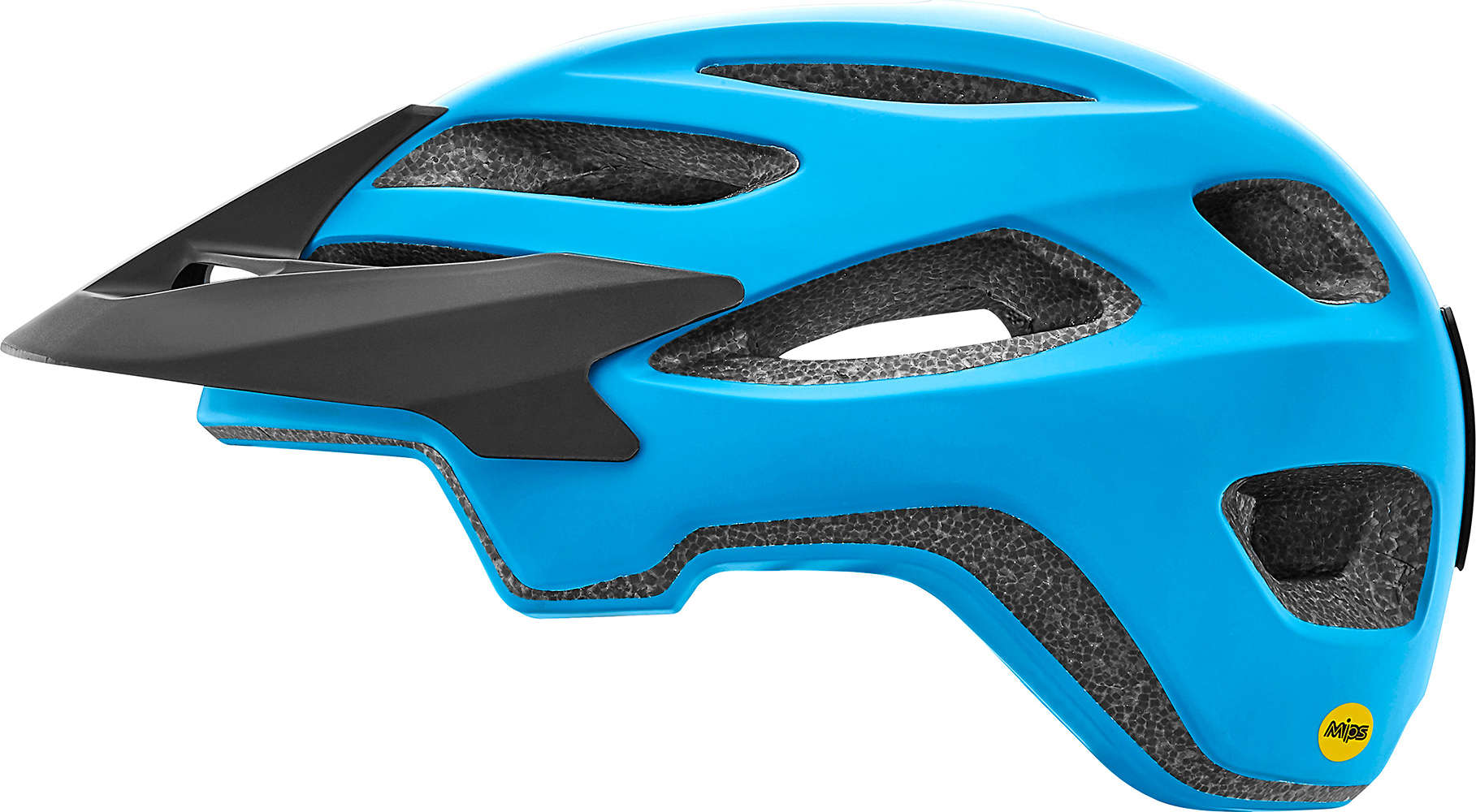 Roost MIPS Helmet - Past Season
